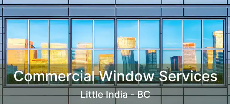  Commercial Window Services Little India - BC