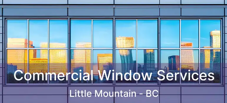  Commercial Window Services Little Mountain - BC