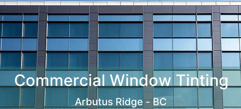  Commercial Window Tinting Arbutus Ridge - BC