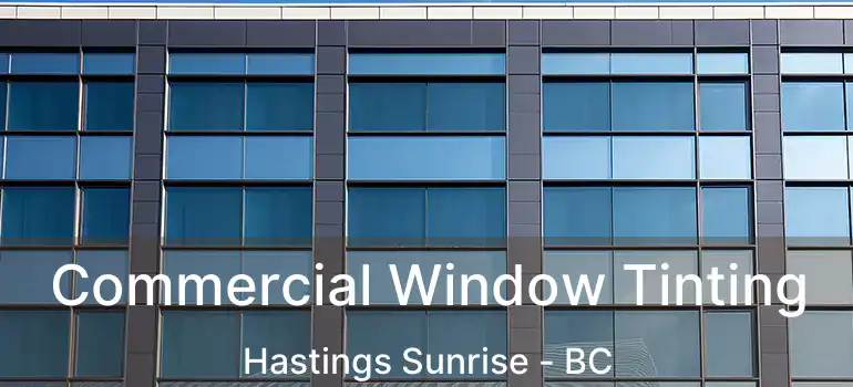  Commercial Window Tinting Hastings Sunrise - BC