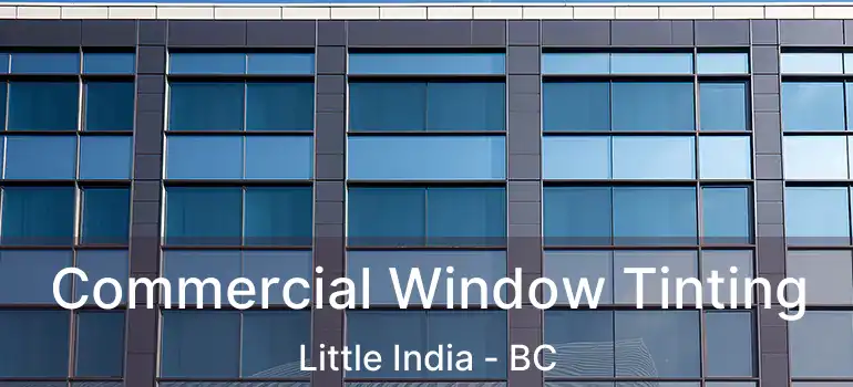  Commercial Window Tinting Little India - BC