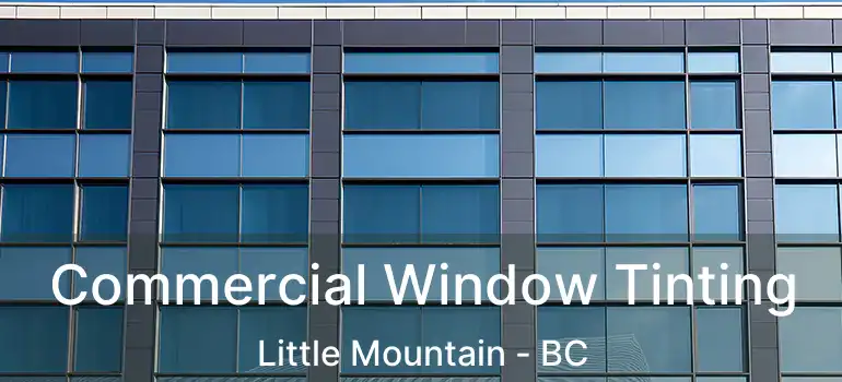  Commercial Window Tinting Little Mountain - BC