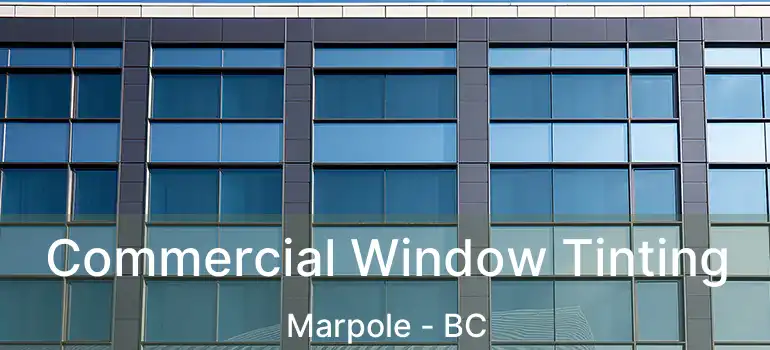  Commercial Window Tinting Marpole - BC