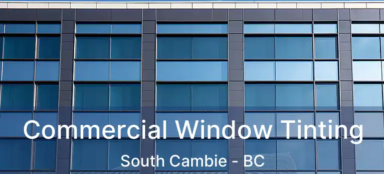  Commercial Window Tinting South Cambie - BC