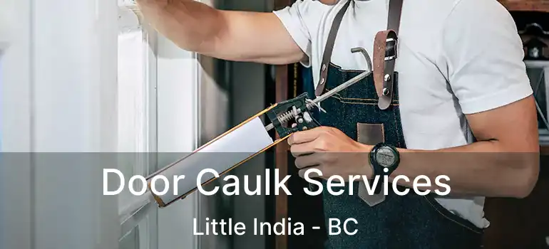  Door Caulk Services Little India - BC