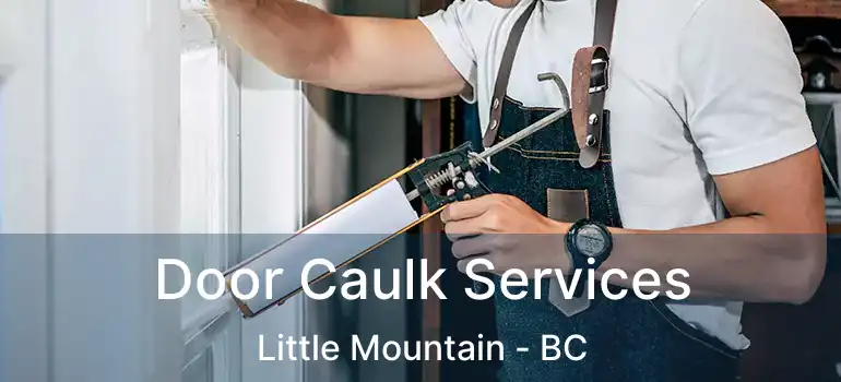  Door Caulk Services Little Mountain - BC