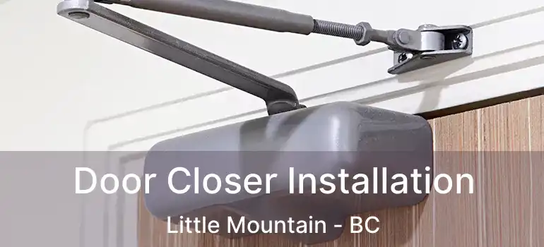  Door Closer Installation Little Mountain - BC