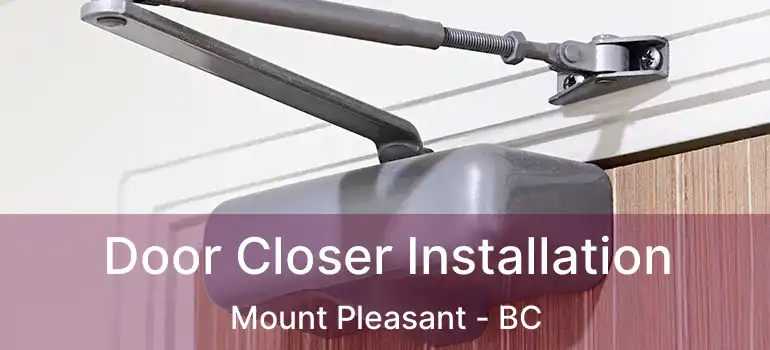  Door Closer Installation Mount Pleasant - BC