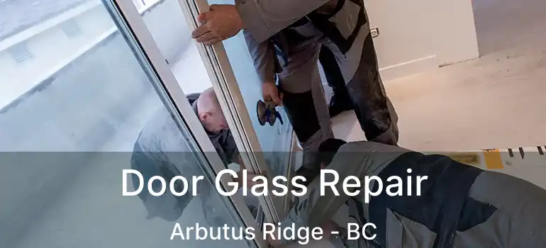  Door Glass Repair Arbutus Ridge - BC