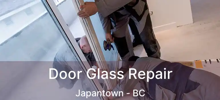  Door Glass Repair Japantown - BC