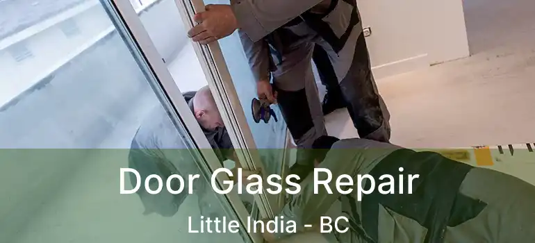  Door Glass Repair Little India - BC