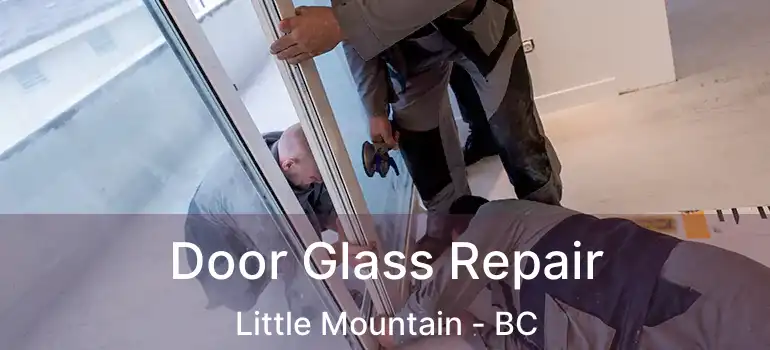  Door Glass Repair Little Mountain - BC