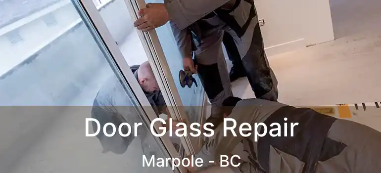  Door Glass Repair Marpole - BC
