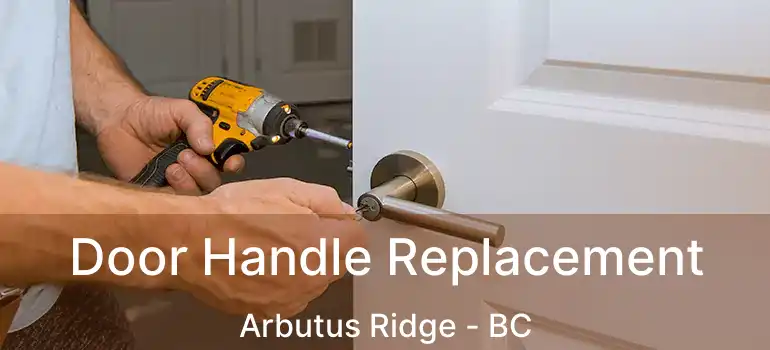  Door Handle Replacement Arbutus Ridge - BC