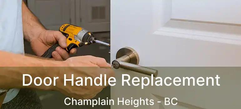  Door Handle Replacement Champlain Heights - BC