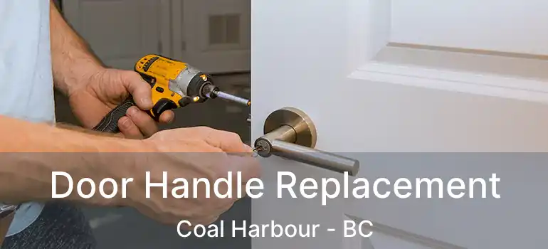  Door Handle Replacement Coal Harbour - BC