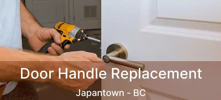  Door Handle Replacement Japantown - BC