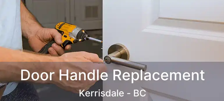  Door Handle Replacement Kerrisdale - BC