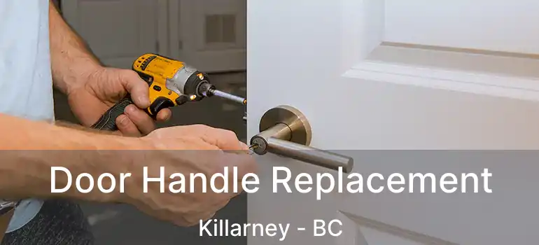  Door Handle Replacement Killarney - BC