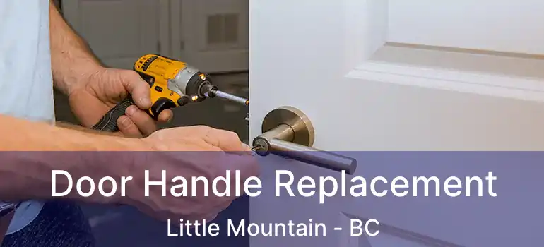  Door Handle Replacement Little Mountain - BC