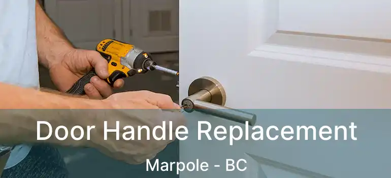  Door Handle Replacement Marpole - BC