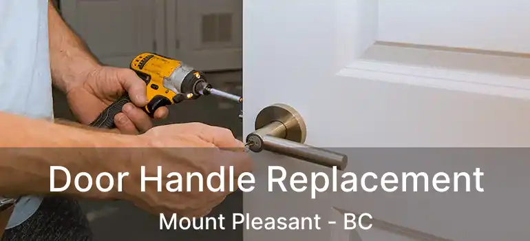  Door Handle Replacement Mount Pleasant - BC
