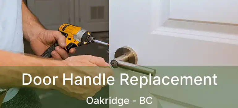  Door Handle Replacement Oakridge - BC