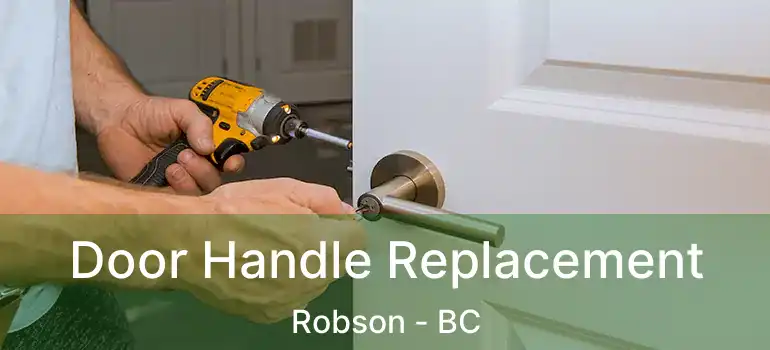  Door Handle Replacement Robson - BC
