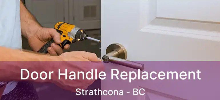 Door Handle Replacement Strathcona - BC