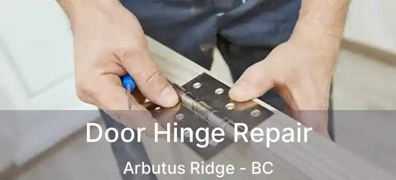  Door Hinge Repair Arbutus Ridge - BC