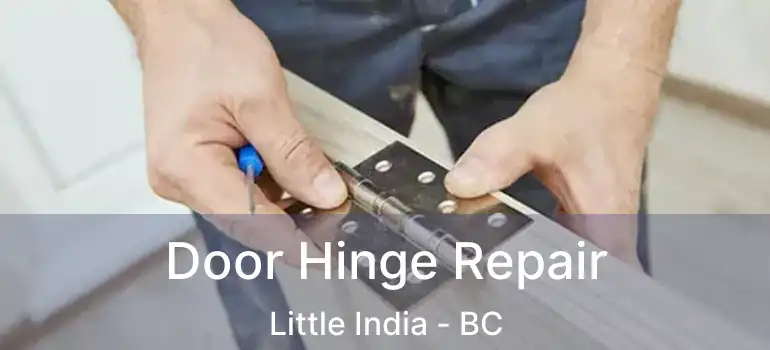  Door Hinge Repair Little India - BC