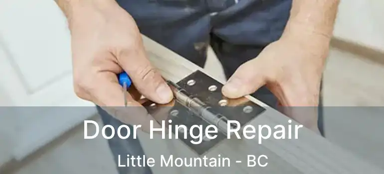  Door Hinge Repair Little Mountain - BC
