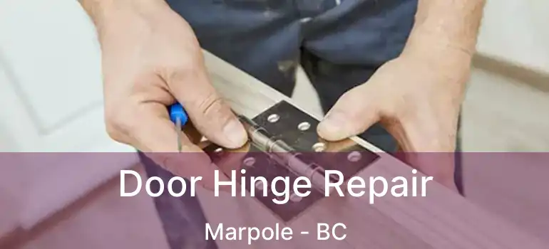  Door Hinge Repair Marpole - BC