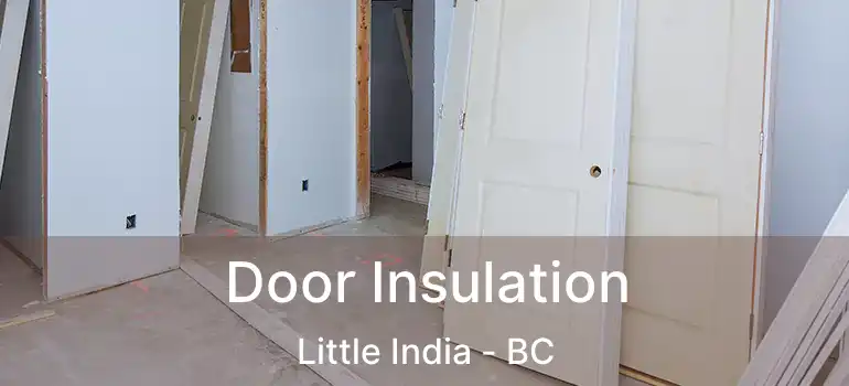  Door Insulation Little India - BC
