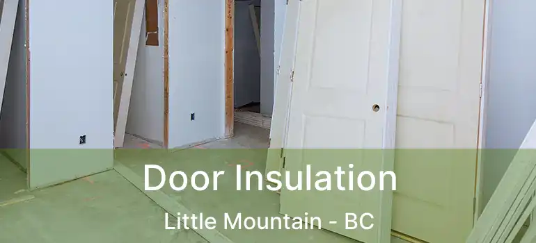  Door Insulation Little Mountain - BC