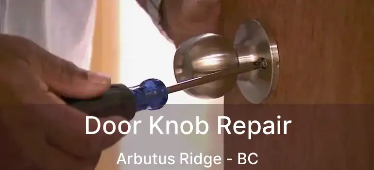  Door Knob Repair Arbutus Ridge - BC