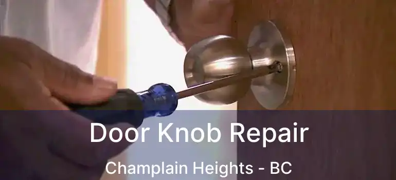  Door Knob Repair Champlain Heights - BC