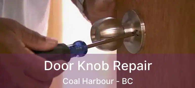  Door Knob Repair Coal Harbour - BC