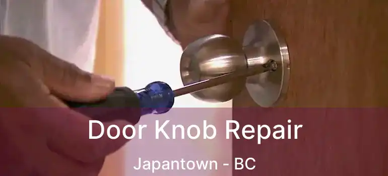  Door Knob Repair Japantown - BC