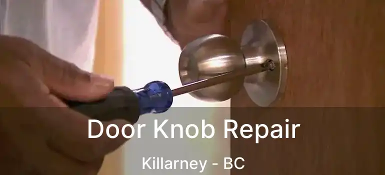 Door Knob Repair Killarney - BC