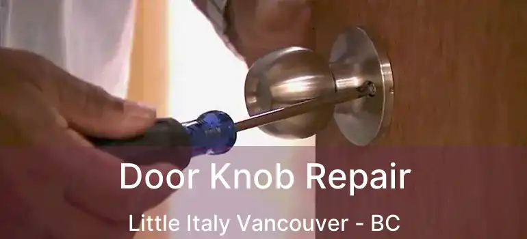  Door Knob Repair Little Italy Vancouver - BC