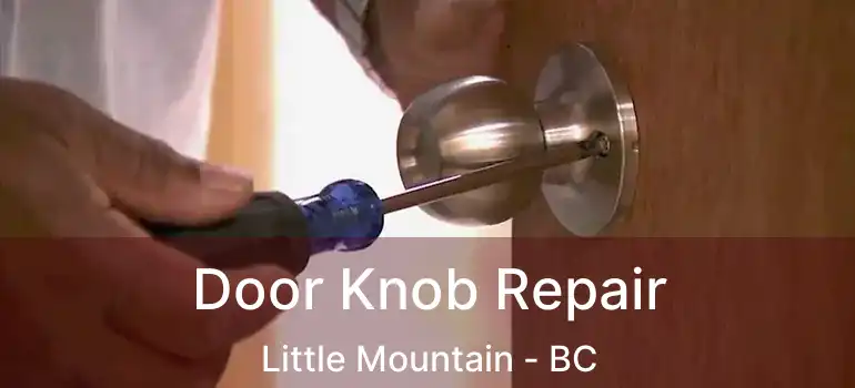  Door Knob Repair Little Mountain - BC