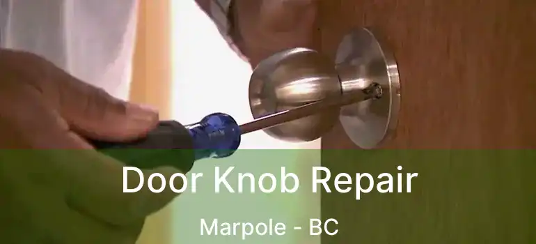  Door Knob Repair Marpole - BC