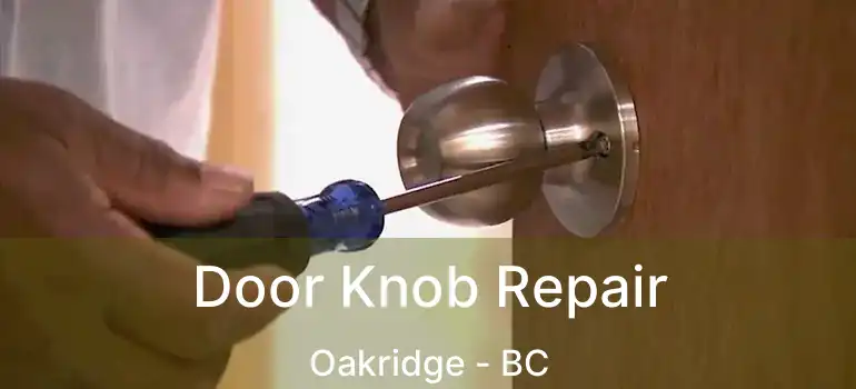  Door Knob Repair Oakridge - BC