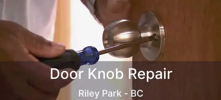  Door Knob Repair Riley Park - BC