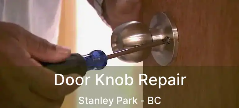  Door Knob Repair Stanley Park - BC