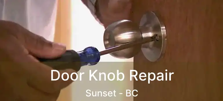  Door Knob Repair Sunset - BC