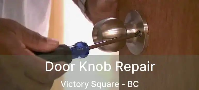  Door Knob Repair Victory Square - BC