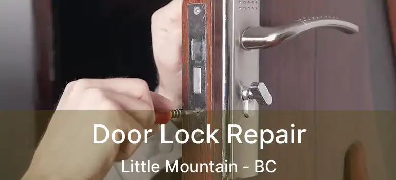  Door Lock Repair Little Mountain - BC