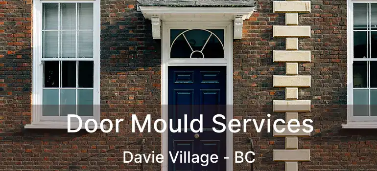  Door Mould Services Davie Village - BC